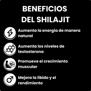 SHILAJIT™︎- VITALIDAD DEL HIMALAYA